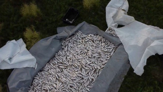 В Приуральском районе инспекторы рыбоохраны обнаружили незаконный улов весом в тонну
