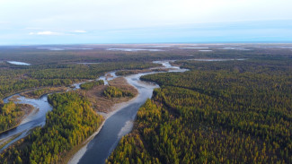 Итоги года и новые экологические инициативы Ямала