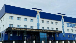 За полгода на Ямале почти вдвое сократился ущерб от кибермошенников