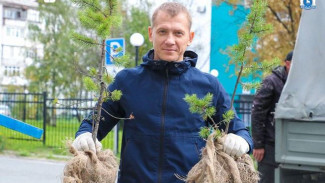 В Надыме стартовала акция «Зелёный двор»