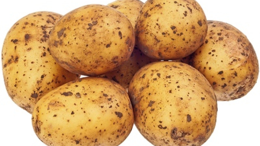 Ямальцам могут бесплатно привезти картошку