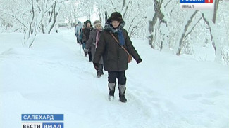 «Тепленькие» и с настроением! Салехардцы вышли на прогулку с врачом