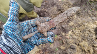 Ямальские поисковики обнаружили тела 7 воинов Красной армии на раскопках в Новгородской области