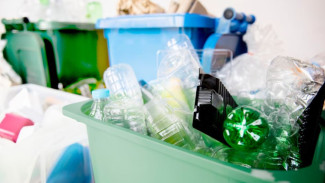 200 тысяч тонн мусора в год: на Ямале увеличилось количество заявок на вывоз отходов