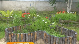 В Губкинском проходят конкурсы «Зелёный двор» и «Зелёный город»