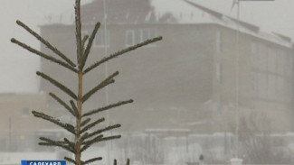 Глобальное похолодание: температура на Ямале в ближайшее время серьезно понизится