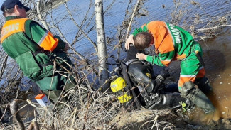 К поискам пропавшего в Новом Уренгое парапланериста подключили водолазов