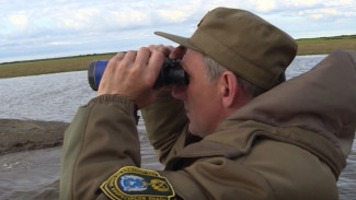 На реках Ямала - нерест: природоохранные инспекторы ловят браконьеров в акватории Обской губы