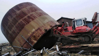 В 2020 году на полуострове Ямал расчистят захламлённое лежбище моржей 