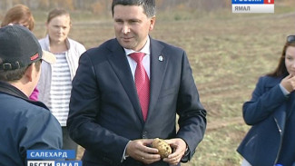 Экскурсия по картофельному полю. Сегодня Дмитрий Кобылкин оценил перспективы сельского хозяйства на Ямале