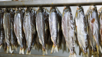 Семейный бизнес с золотым вкусом: ямальцы покорили уральскую выставку