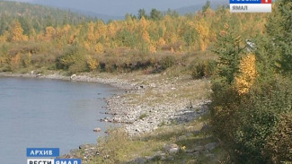 В Год экологии на Ямале проведут более 70 различных мероприятий