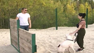 В Губкинском горожане ждут открытия площадки для выгула собак: в чем причина простоя