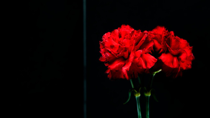 Цена правды: в России чтят память погибших корреспондентов