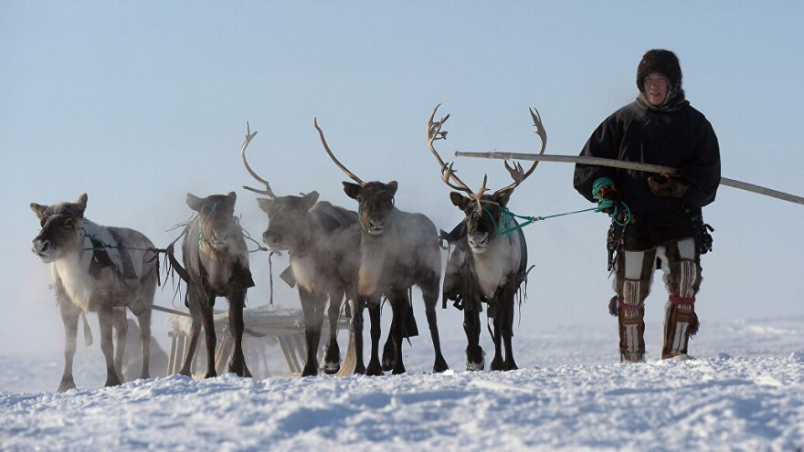  На Ямале представителей коренных народов Севера привлекут к наблюдению за изменениями климата