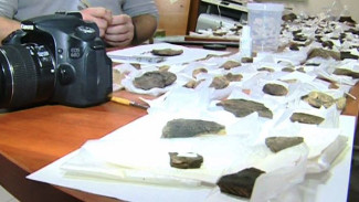 Сколько лет оленеводству на Ямале? Археологи изучают коллекцию «говорящих находок»