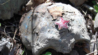 Герои найдены: поисковики Ямала открыли счет «Вахты памяти» в Новгородской области