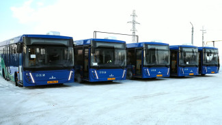 С января в Губкинском начнут курсировать 6 новых пассажирских автобусов 