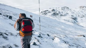 «Норникель» и МГУ договорились вместе изучать Арктику