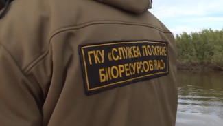 Специалисты службы по охране биоресурсов вместе с сотрудниками ОМОНа проводят рейды