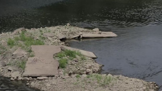 Судоходный локдаун и экологическая беда: в Тюмени обмелела река Тура 
