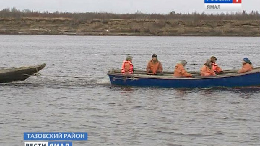 Тазовские рыбаки планируют выловить 800 тонн «живого серебра»