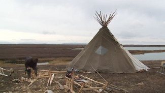 Искусство переезда в тундре и смена сезона: как кочевники Ямала готовятся к зиме  