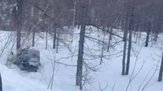 В Лабытнанги насмерть разбился водитель снегохода
