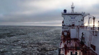 Ямальские депутаты готовы поддержать инициативу о налоговых льготах для арктических проектов