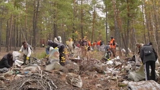 В Якутии в лесном массиве по Намцырскому тракту прошел масштабный субботник