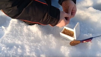 В Карелии состоялся уникальный зимний рыбатлон