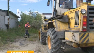 Гаражные кооперативы Губкинского, заваленные хламом, пришлось убирать местному предприятию