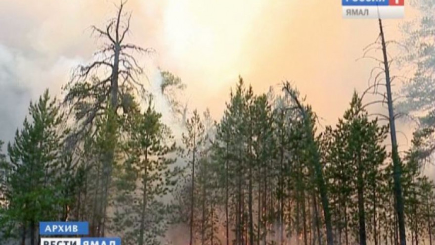 На Ямале случился первый лесной пожар