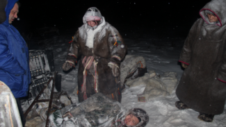 Чудесное спасение: сотрудники «Ямалспаса» вызволили мужчину, ногу которого «замял» снегоход
