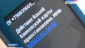 Челябинские хакеры, укравшие миллионы у клиентов Сбербанка, могли ограбить и ямальцев