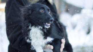 Ямал накроет холод и шквалистый ветер