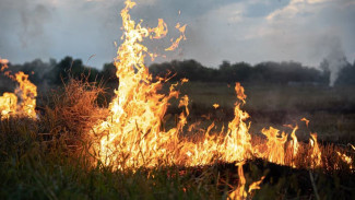 На Ямале шесть природных пожаров тушат 278 специалистов 