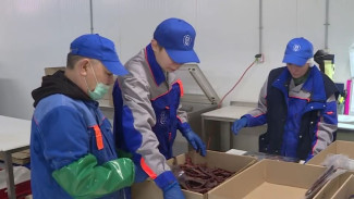 В поселке Харп готовят сублимированные продукты