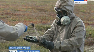 Военные завершили дезинфекцию очага сибирской язвы на Ямале. Подробности уникальной операции