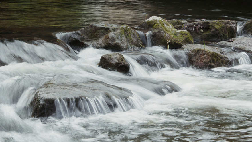 Данные мониторинга водоемов: ямальские реки стали чище