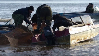 Рыбаки Ямала вышли на промышленную ловлю корюшки