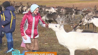 Ямальское экологическое образование, или как правильно изучать арктическую землю?