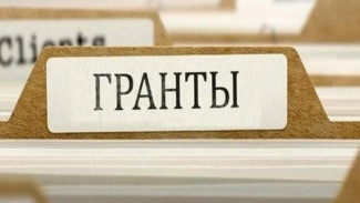 Ямальские социальные проекты получили гранты президента России