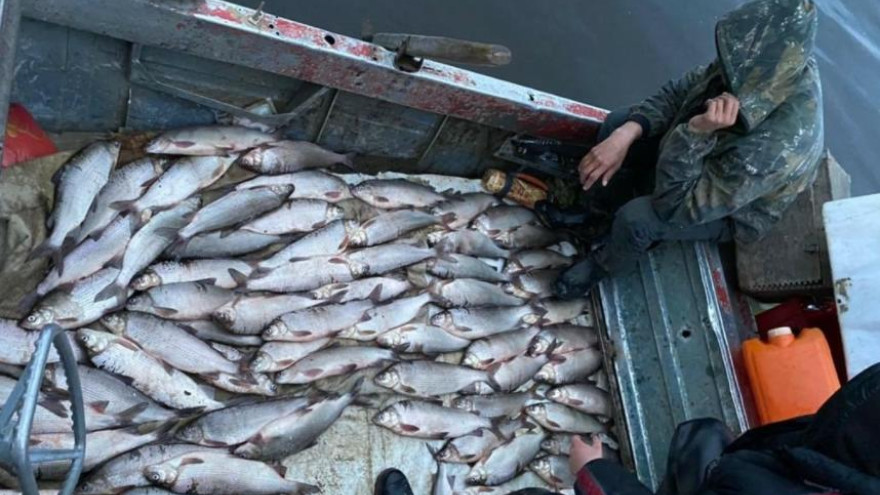 На Ямале трое рыбаков пойдут под суд за браконьерство – мужчин задержали за вылов чира 