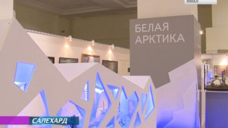 В выставочном центре Шемановского появились арктические айсберги