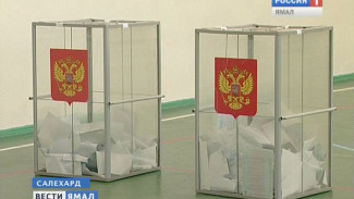 Праймериз: мнения политологов о голосовании на Ямале