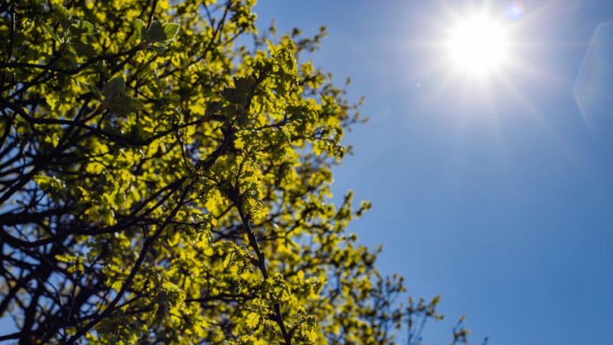 Температурный раскол Ямала: от +26° на юге до +3° в Сеяхе