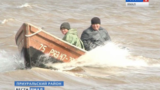 4 тонны в сутки. Ошеломительные рекорды ставят ямальские рыбаки в этом году