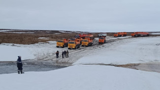 Десятки грузовиков пытаются добраться до Мессояхского месторождения по закрытому зимнику 