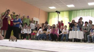 От пластмассовых дорог до освоения Марса. В кружках робототехники на Ямале воспитывают будущих изобретателей